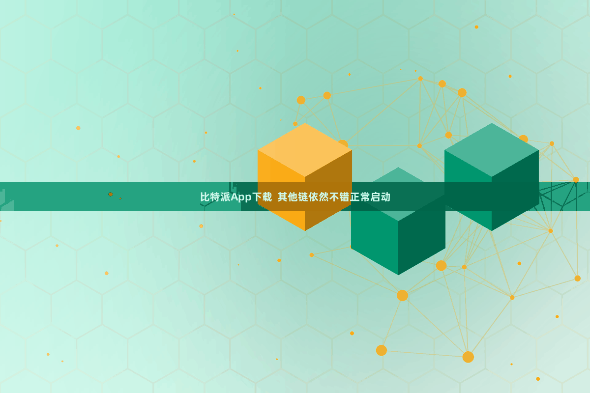 比特派App下载  其他链依然不错正常启动